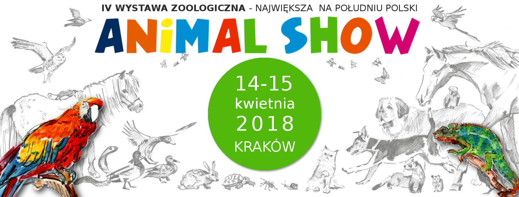 animal-show.png